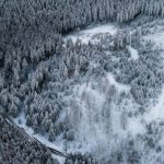 Winterization - Aerial view of a forested area with snow