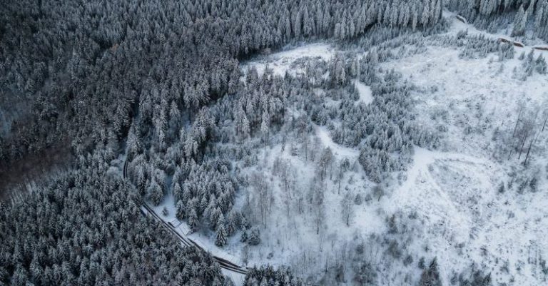 Winterization - Aerial view of a forested area with snow