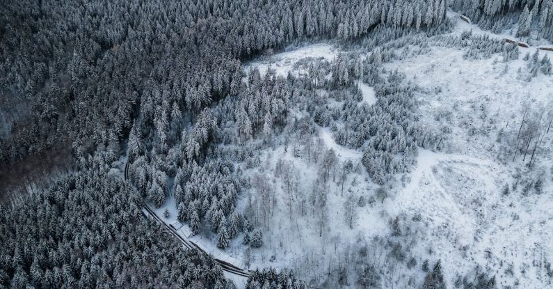 Winterization - Aerial view of a forested area with snow
